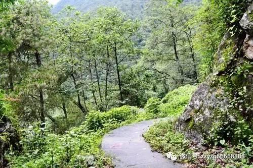 探索如果女生主动一点,男生会不会心动?的热门话题 - 如果女生主动一点,男生会不会心动?红迪网